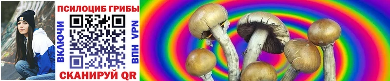 Псилоцибиновые грибы GOLDEN TEACHER omg как зайти Мелеуз